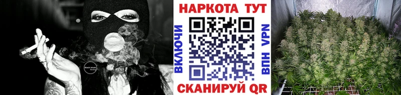 Купить закладку Дубовка COCAIN  ГАШ  Каннабис 