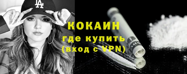 сатива Дмитров
